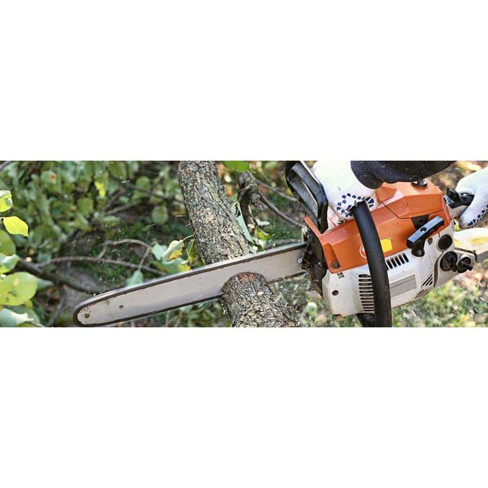 TLC Tree &amp; Landscape Company Logo