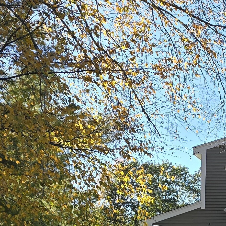 Roof Roof New England Roofing Image