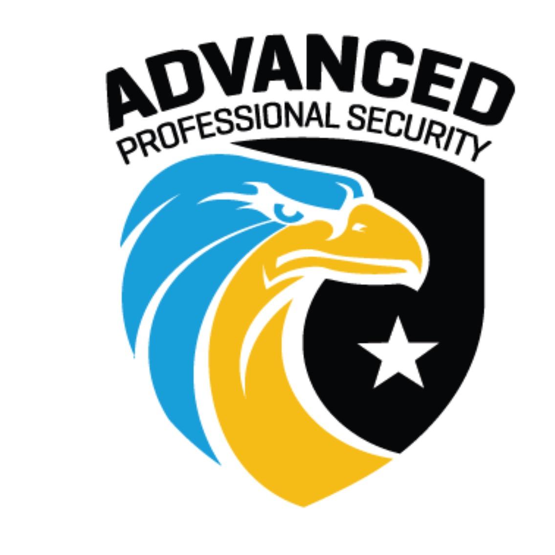 Advanced Professional Security Photo