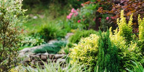 4 Landscaping Trends That Will Be Big This Summer