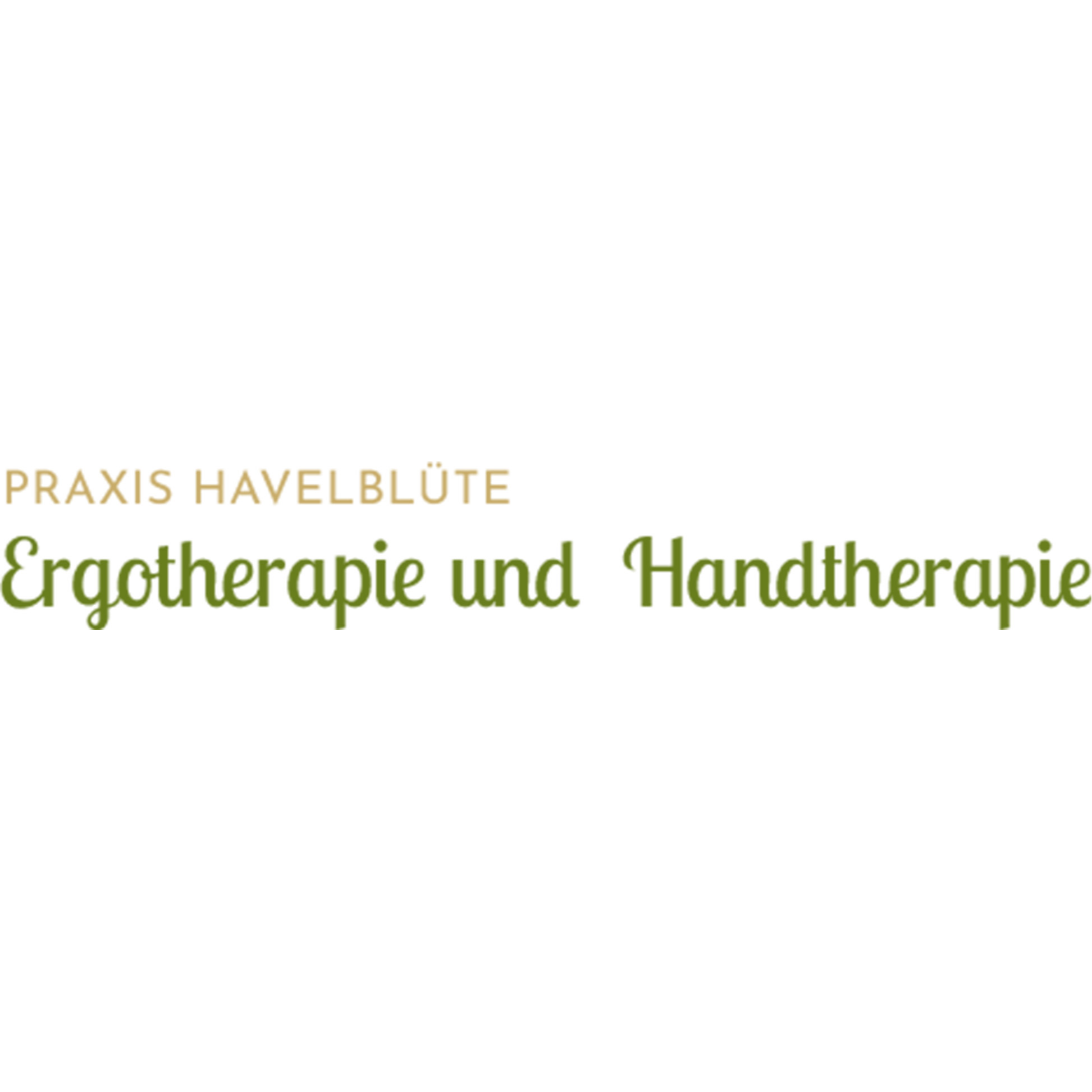 Logo von Praxis Havelblüte Ergotherapie und Handtherapie