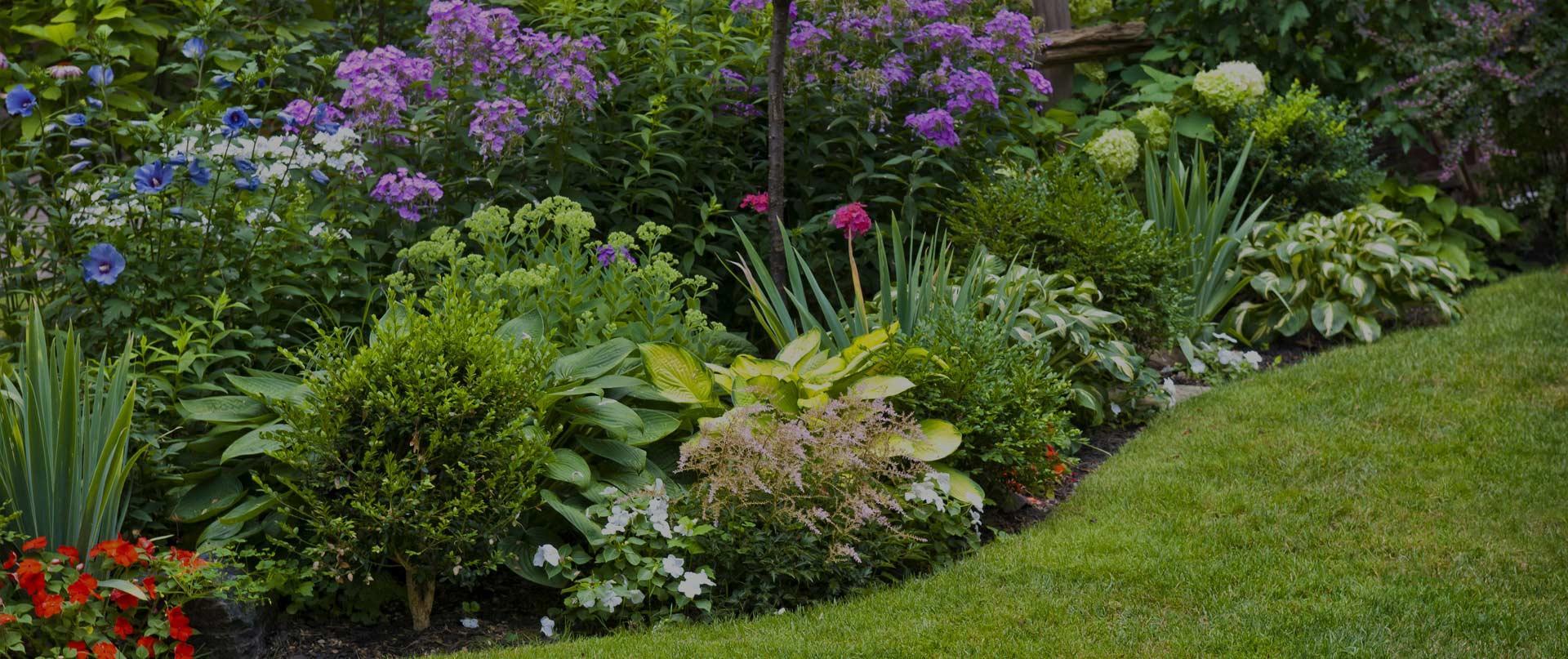 Betty's Azalea Ranch Image