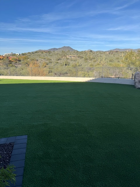 Waterloo Turf Scottsdale Image