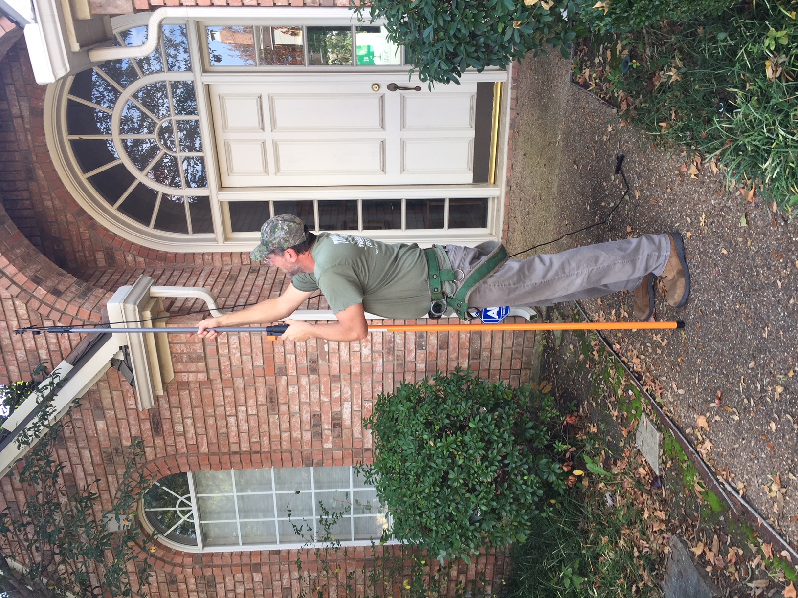 Tree Masters Tree Service Image