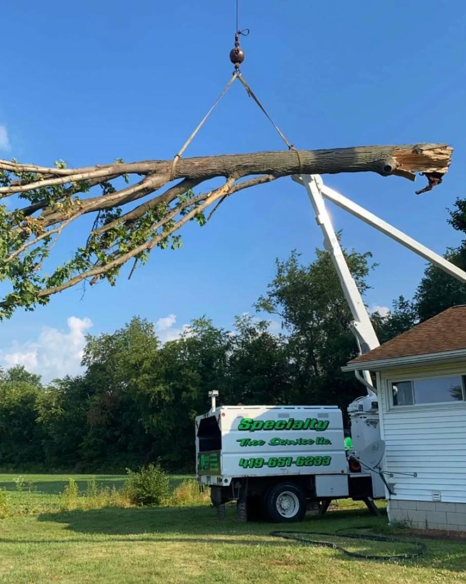 Specialty Tree & Bucket Service Image