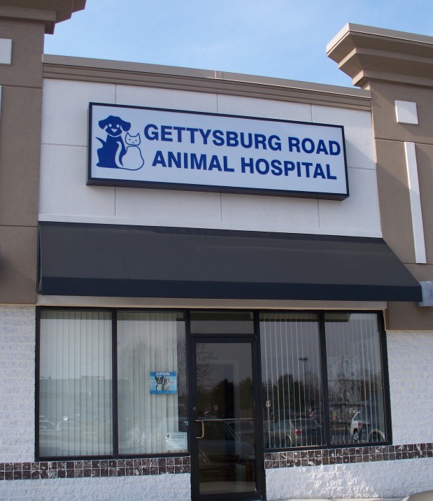 Gettysburg Road Animal Hospital Coupons near me in ...