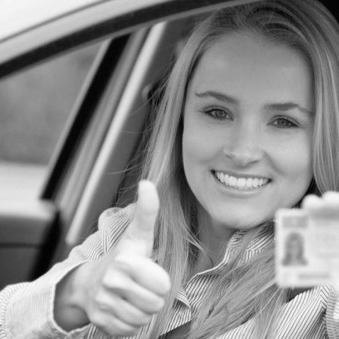 LND Multiservices, LLC Logo