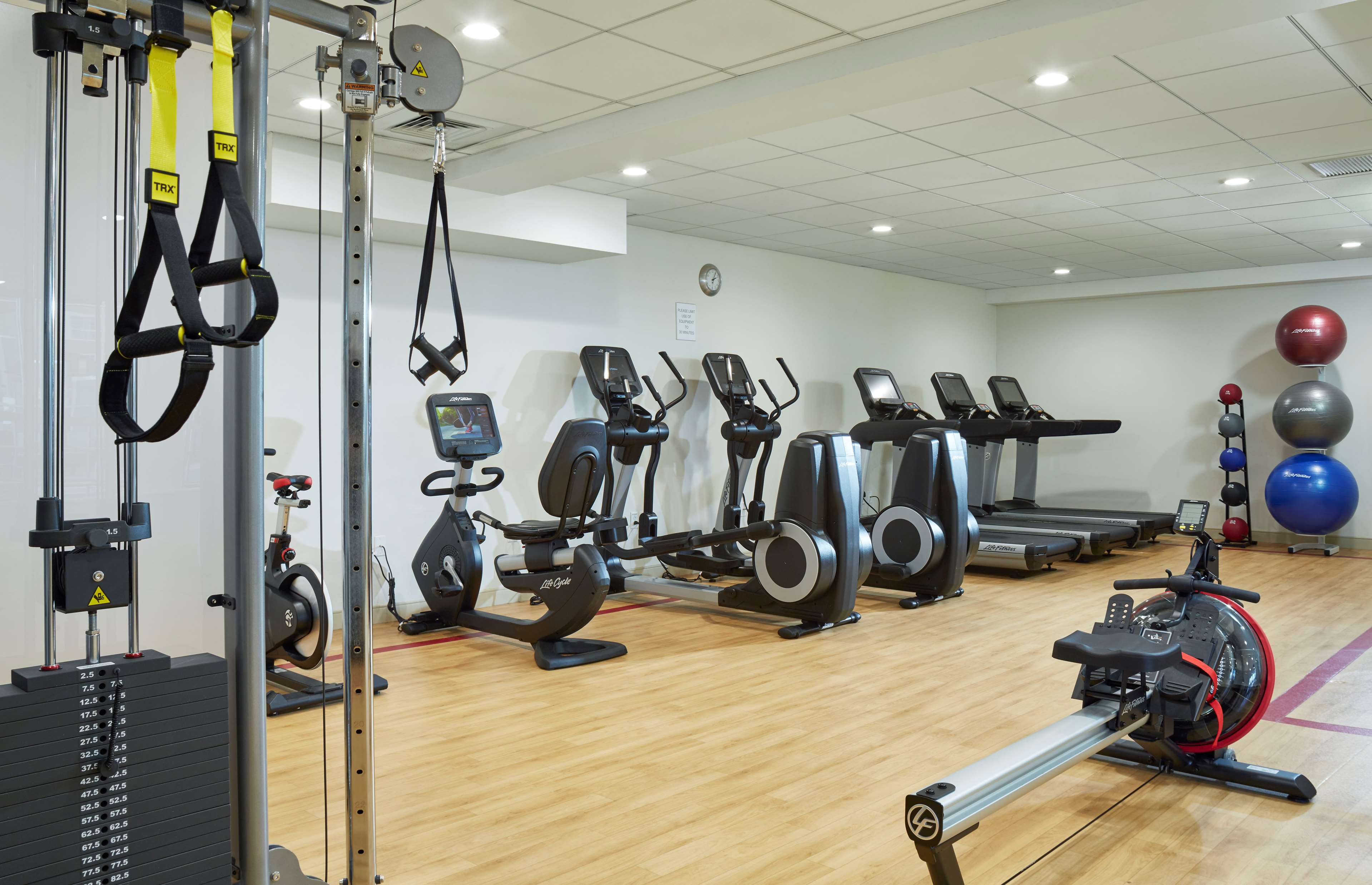 Health club  fitness center  gym