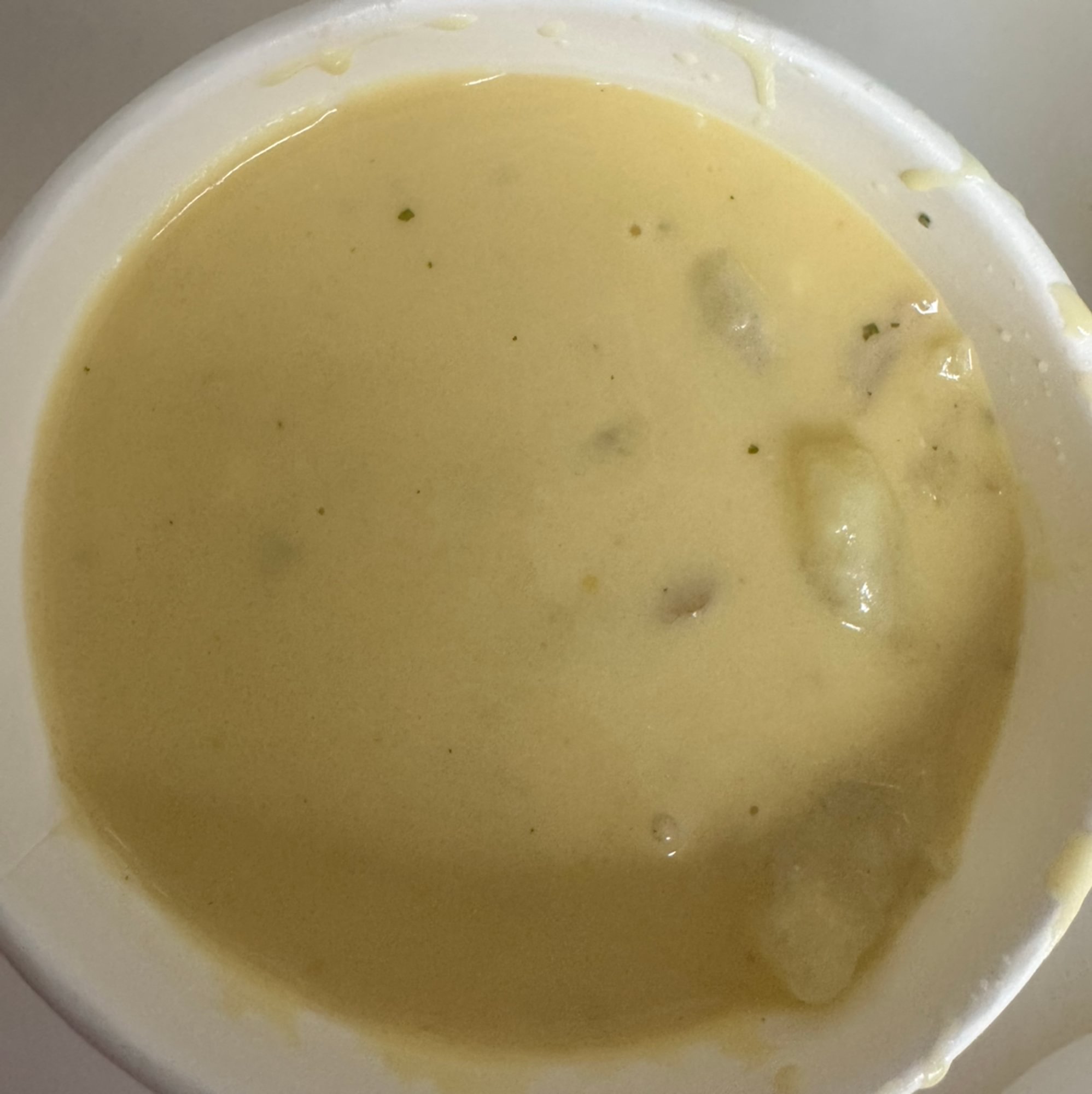 Loaded Potato Soup