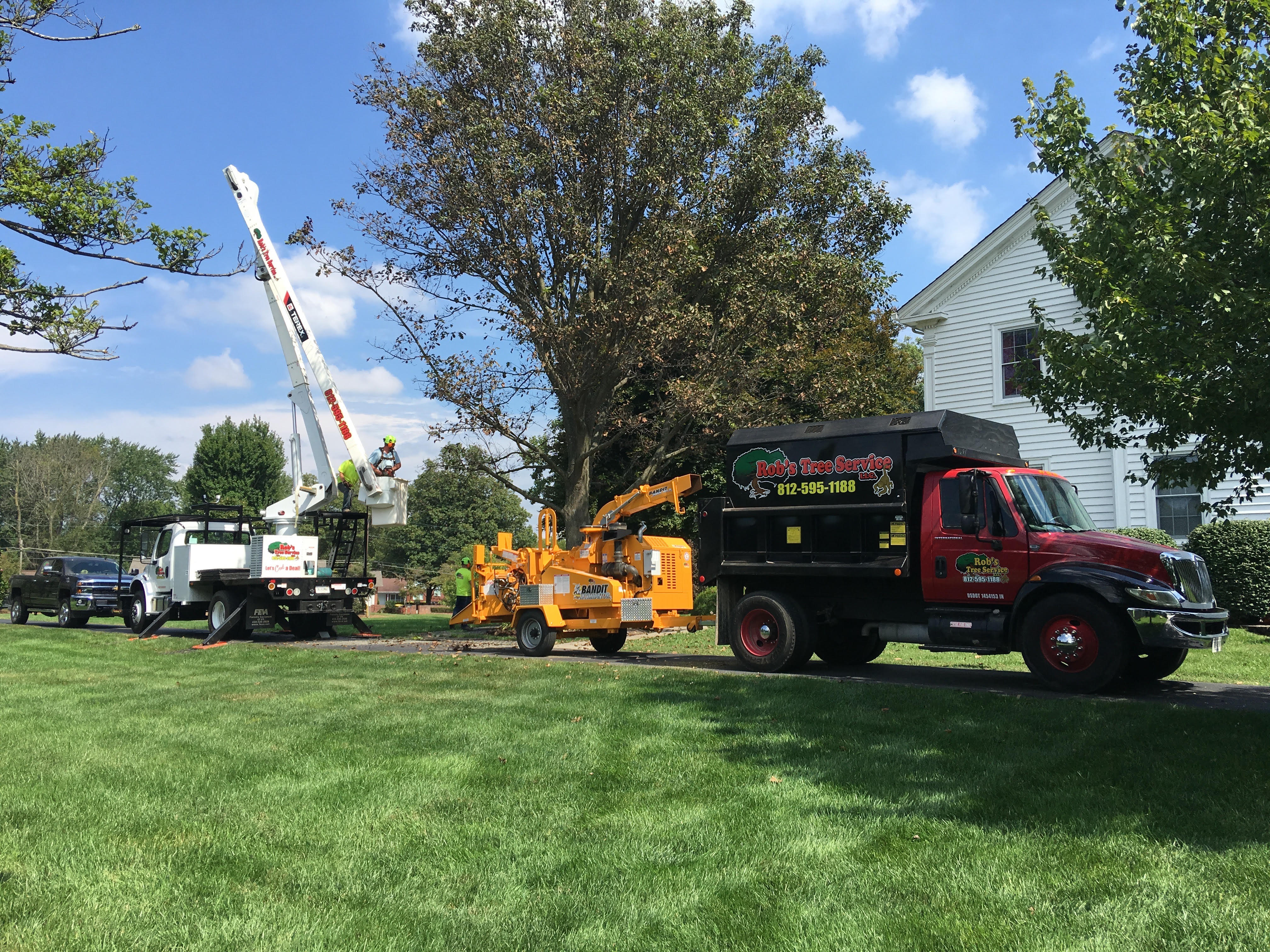 Rob's Tree Service Photo