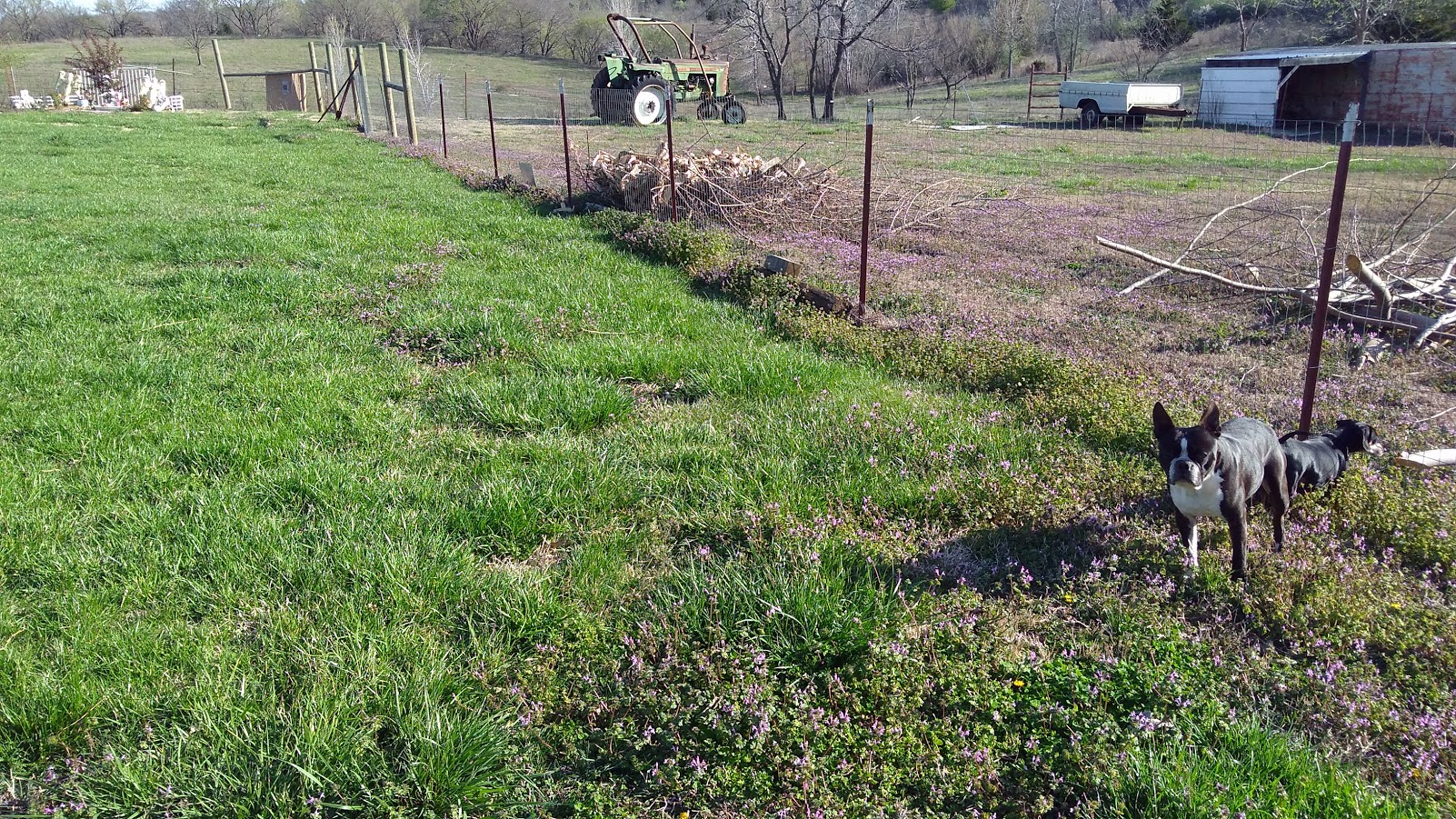 A Better Property Maintenance Logo