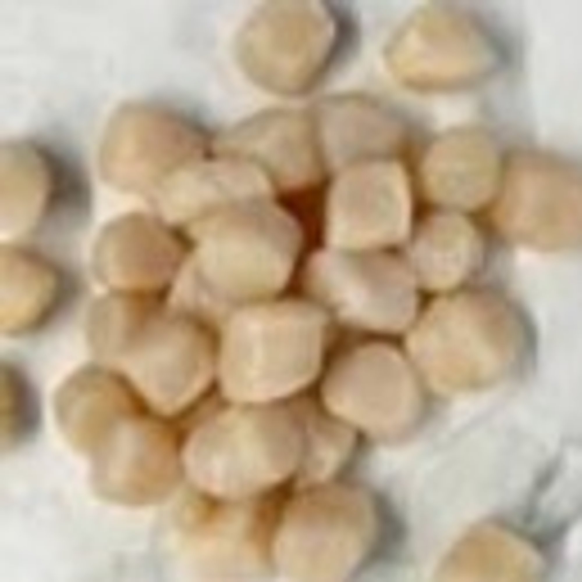Bay Scallops by the 1/2 pound