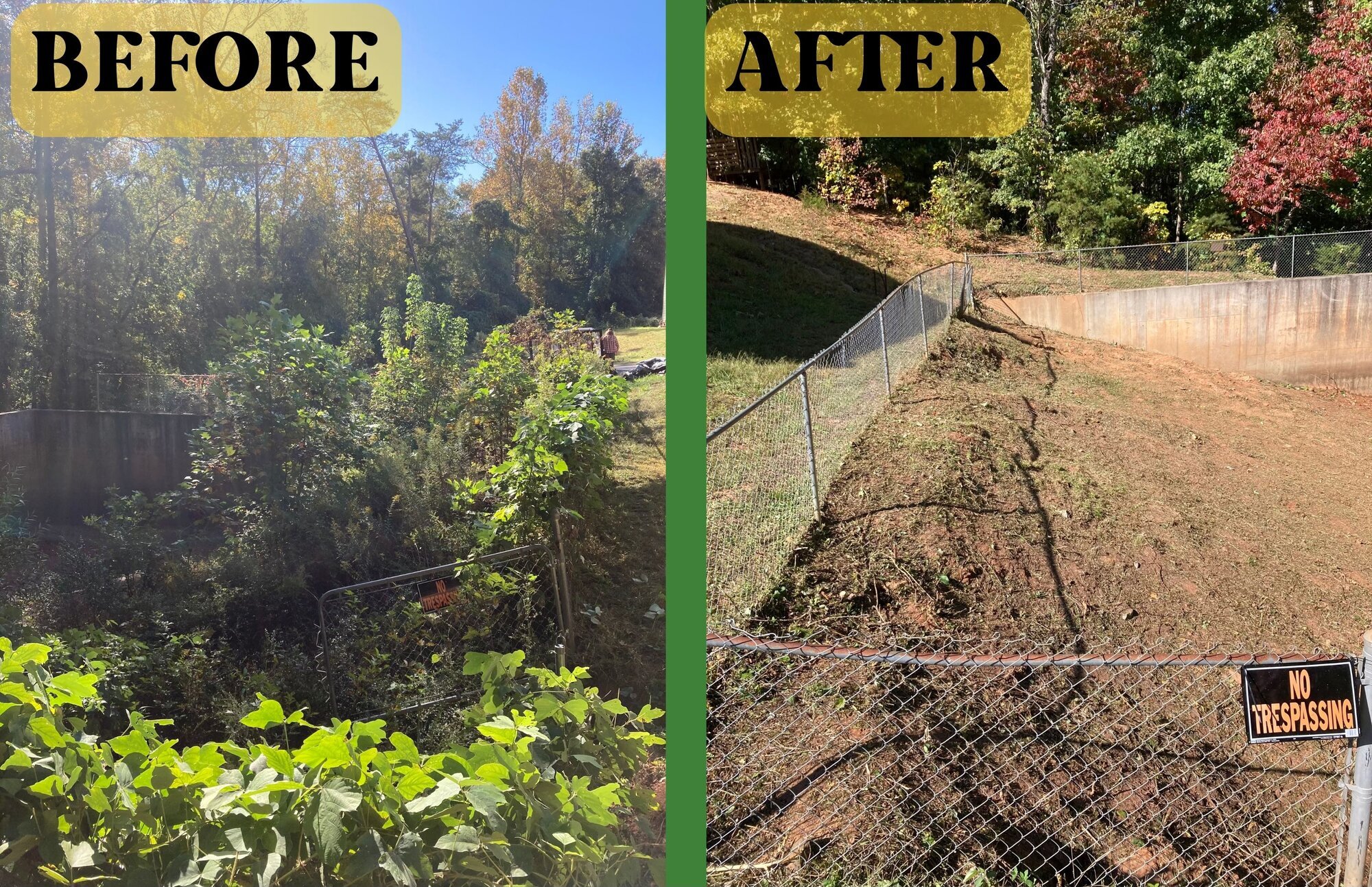 Fresh Start Landscape Image