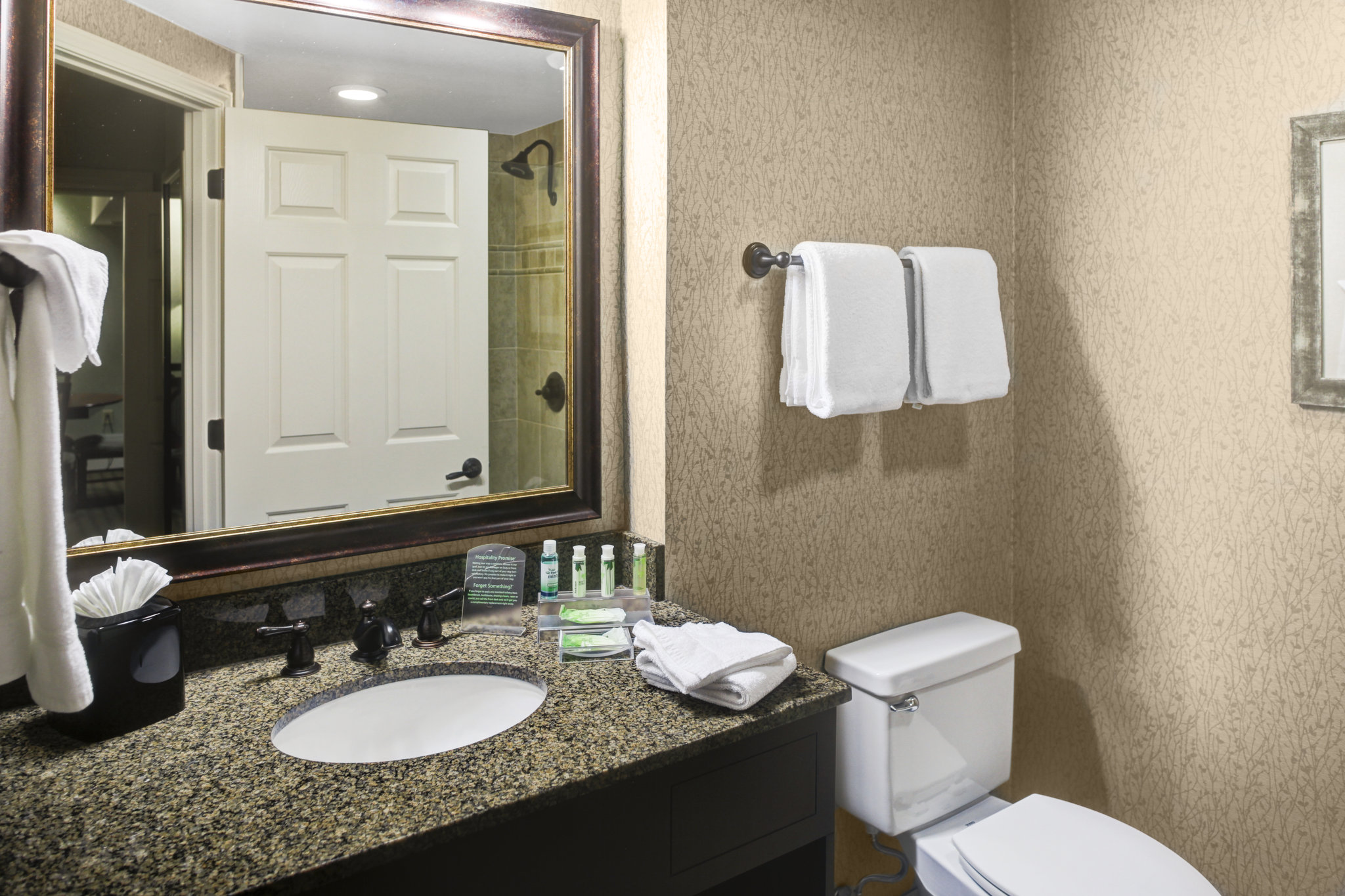 Holiday Inn Express & Suites Atlanta Buckhead by IHG Image