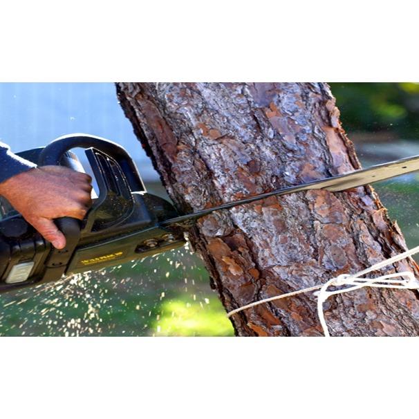 Native Wood Creations Logo