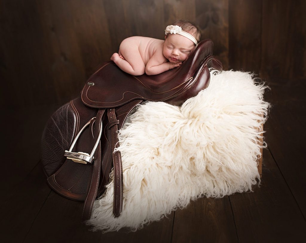 Vanessa Lee Photography Logo