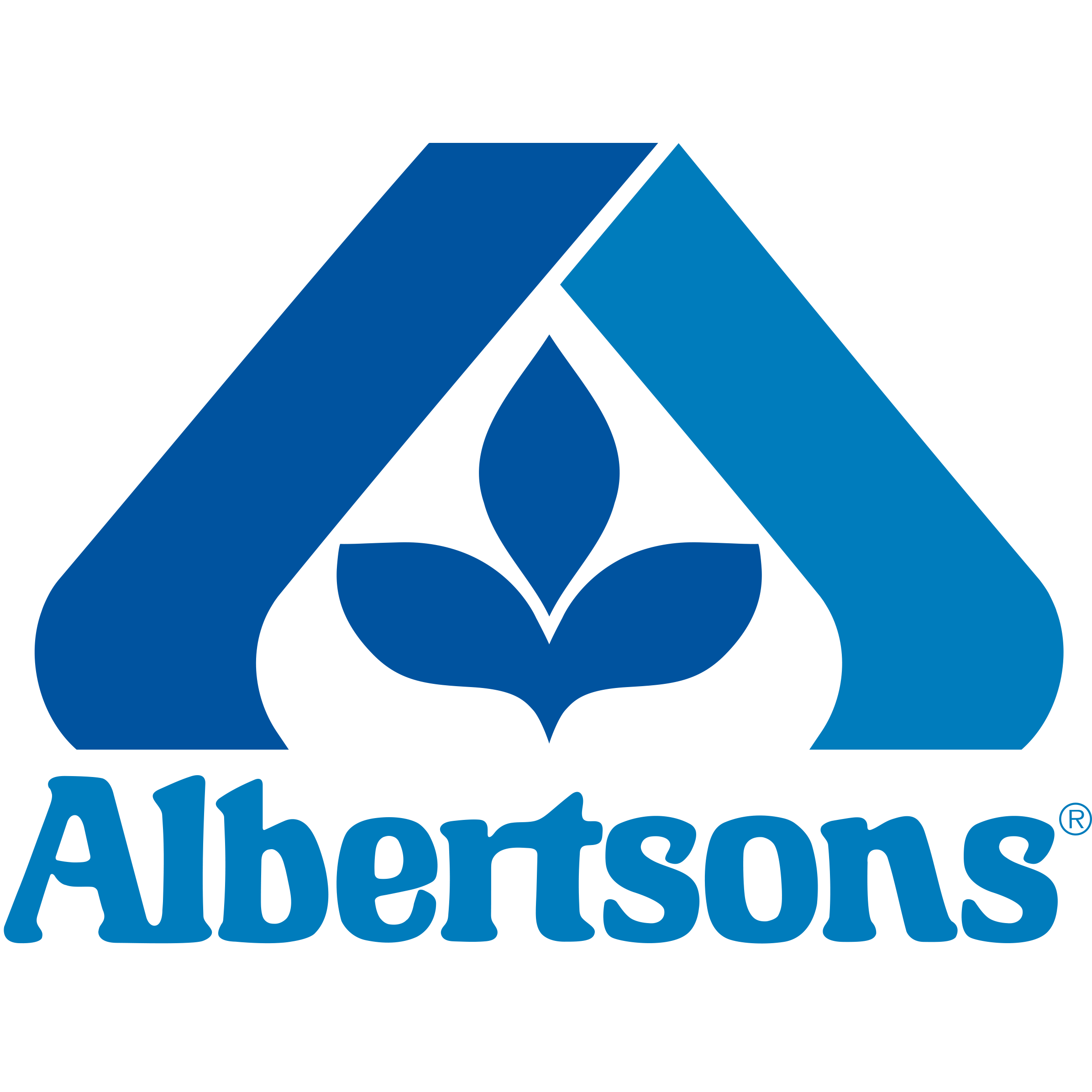 Albertsons Pharmacy Photo