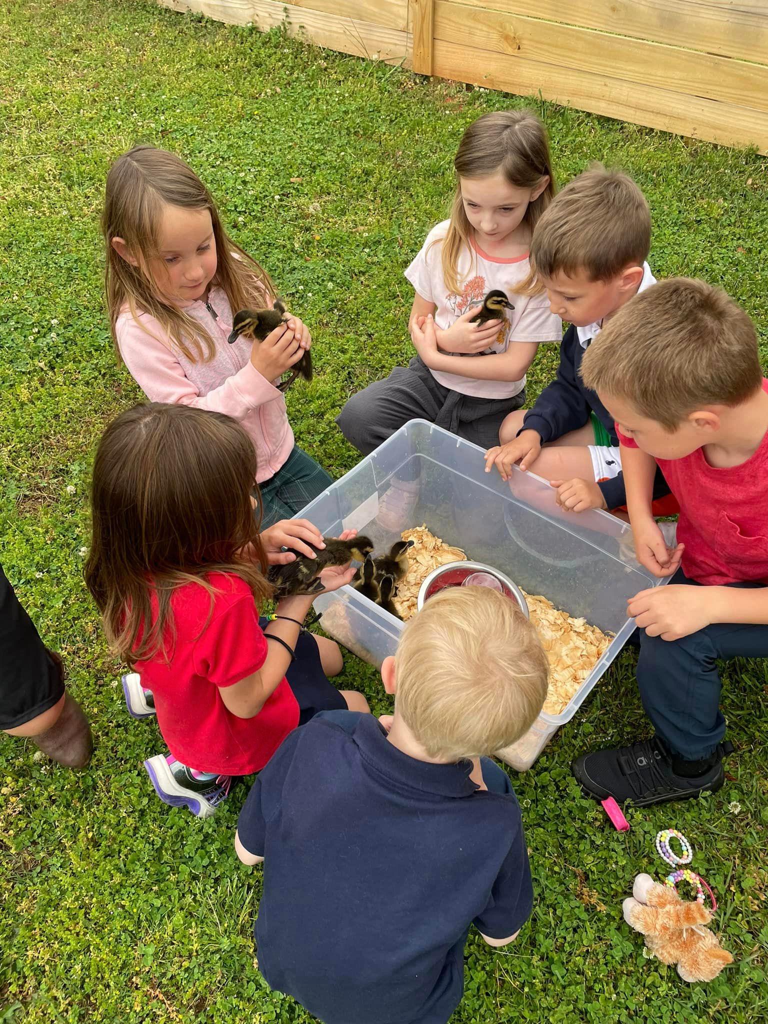 Maximum Christian School Image