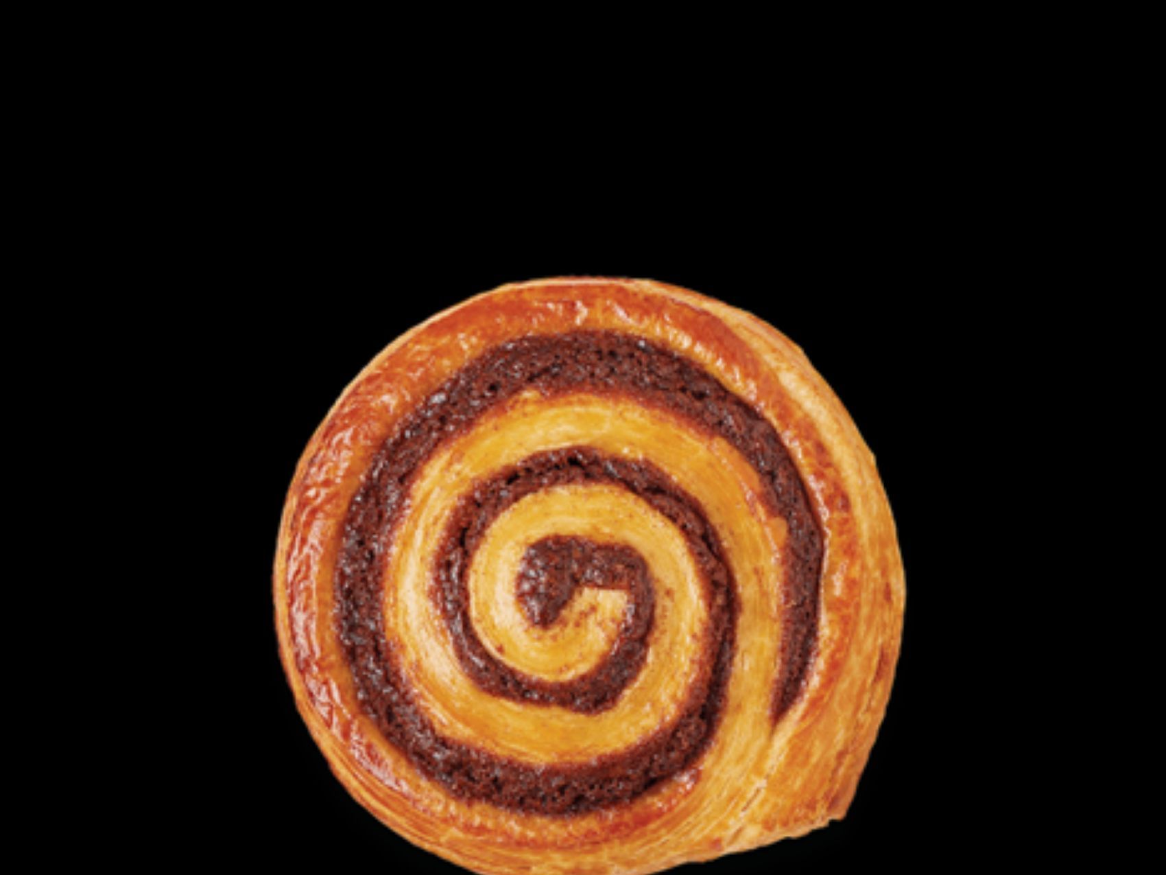 Decadent Cinnamon Bioche