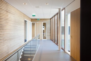Gallery thumbnail