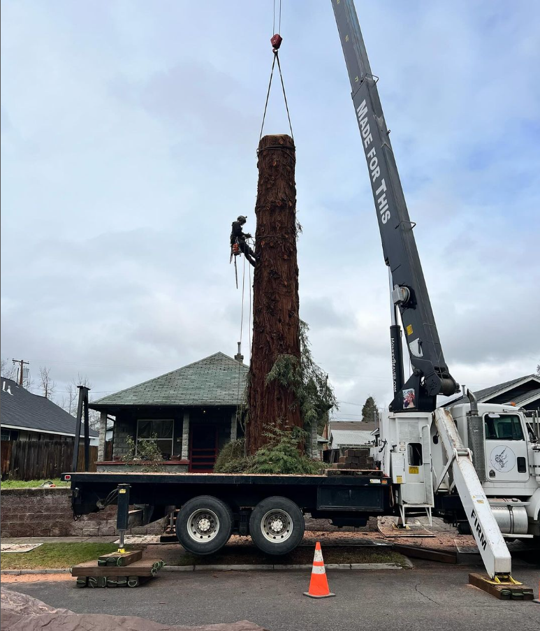 August Hunicke Arborists Inc. Image