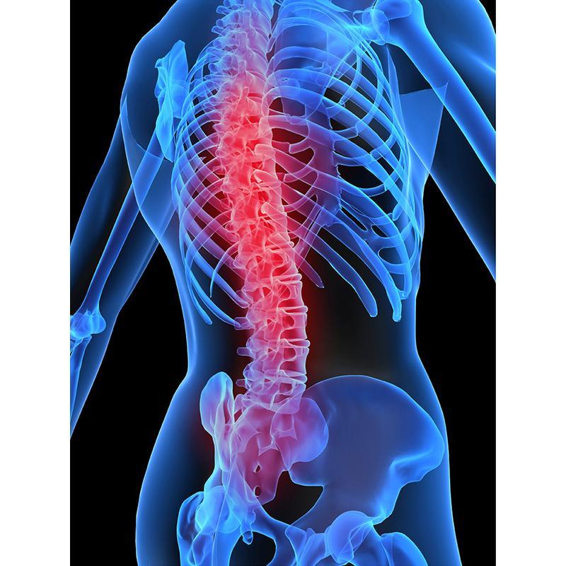 Images Sanitaria Ortopedia Medisan