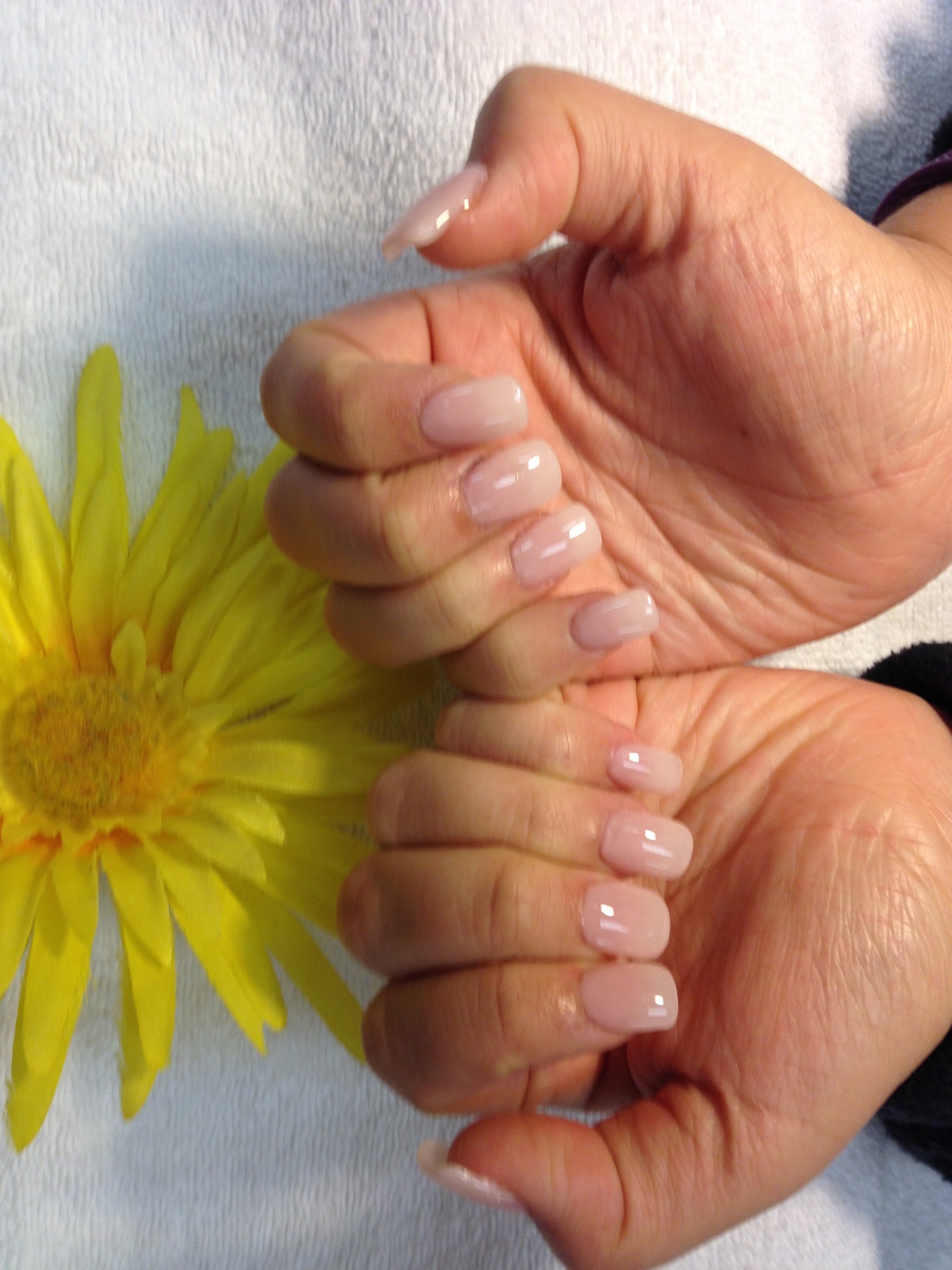 TL Nails & Spa image