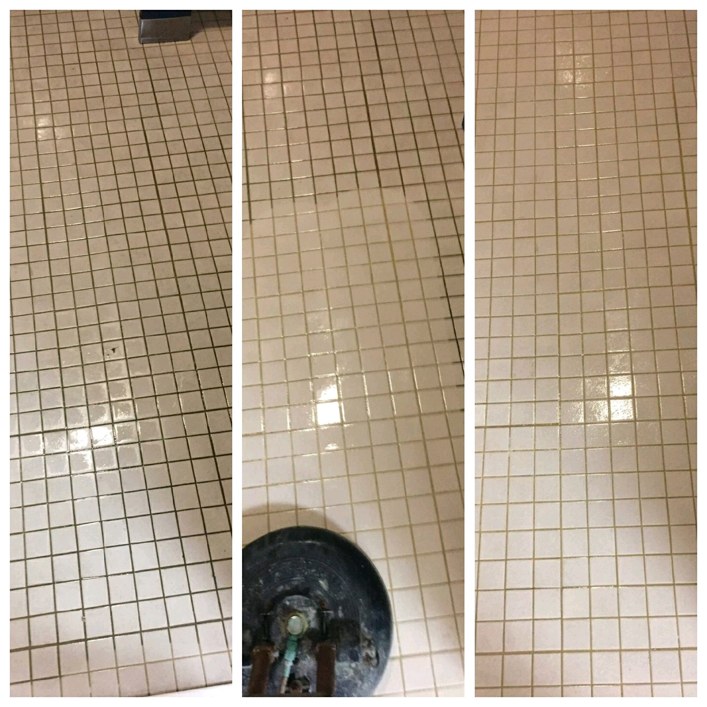 Suncoast Floor Cleaning Photo