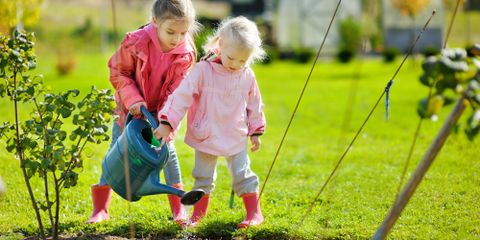When Should You Fertilize Your Lawn for the Winter?