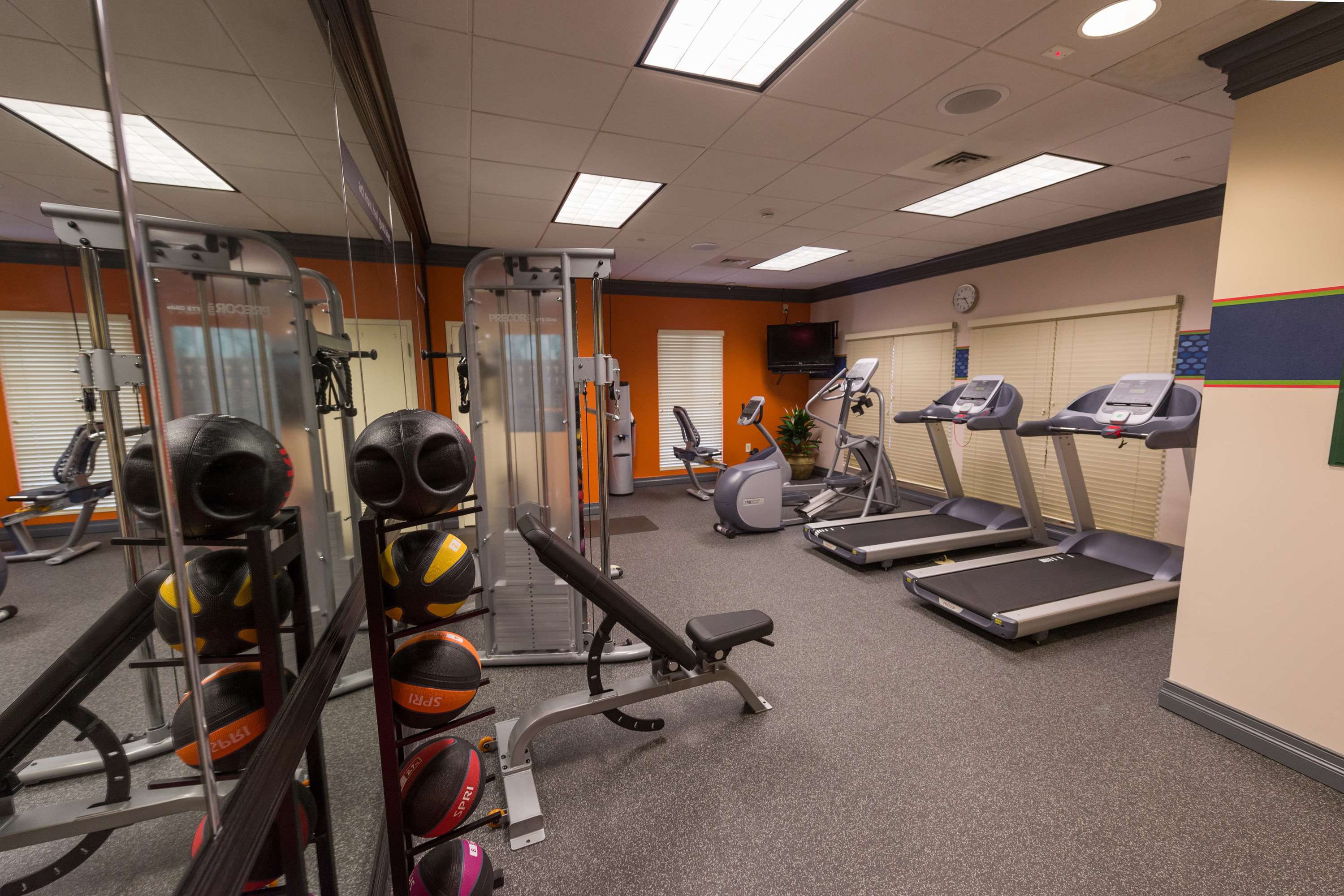 Health club  fitness center  gym