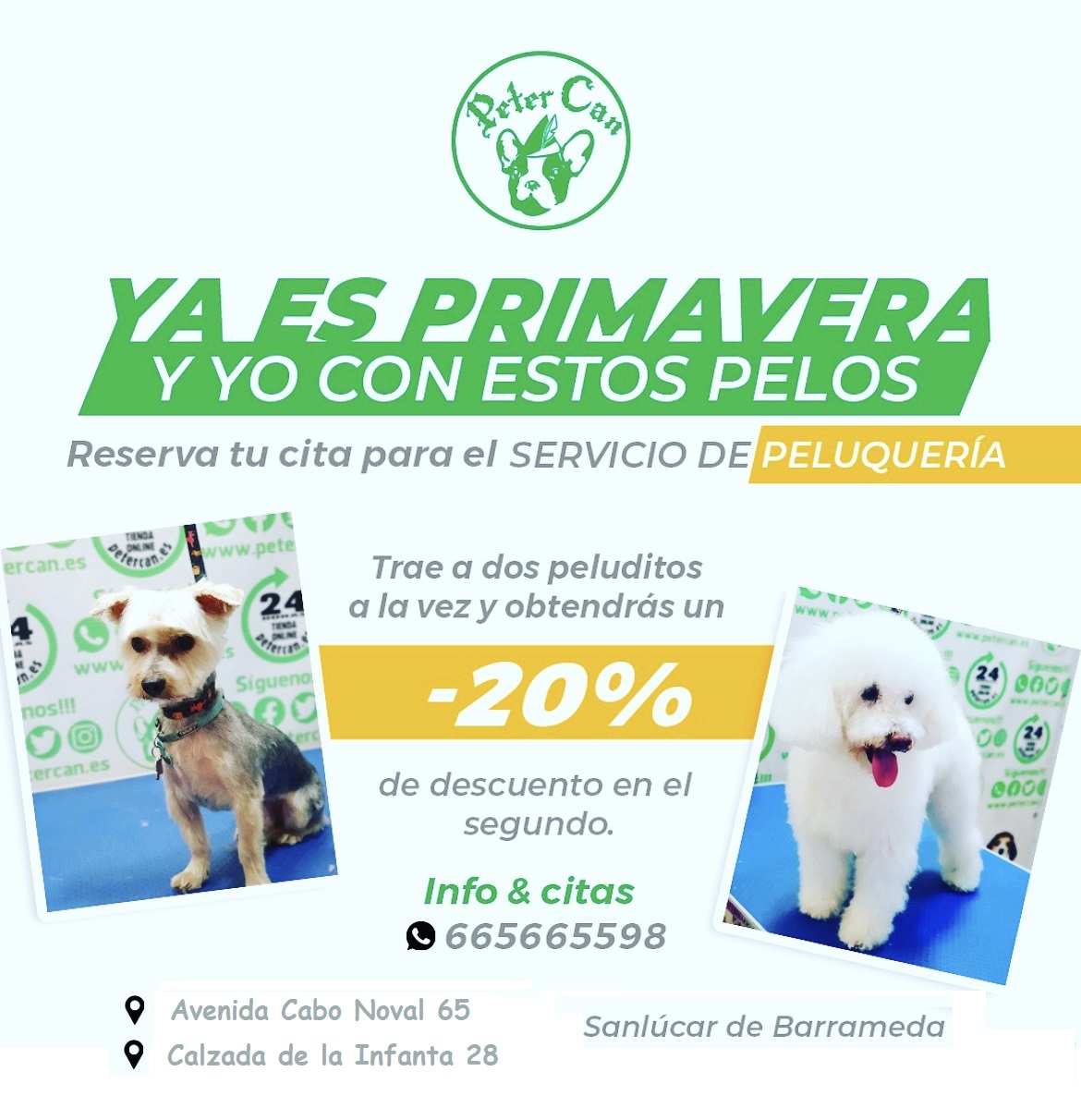 Galería en miniatura