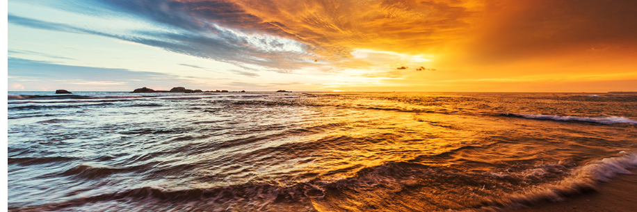 Campbell United Methodist Logo