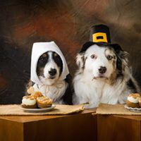 Three Dog Bakery Photo