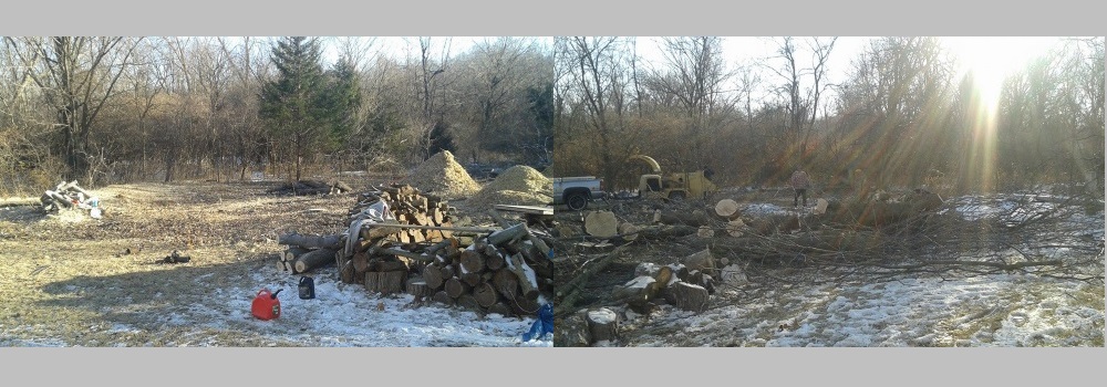 Victory Tree Service Logo