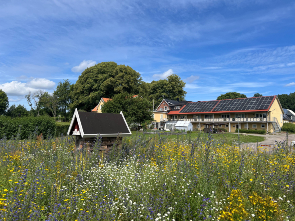 Fotos de Röingegården