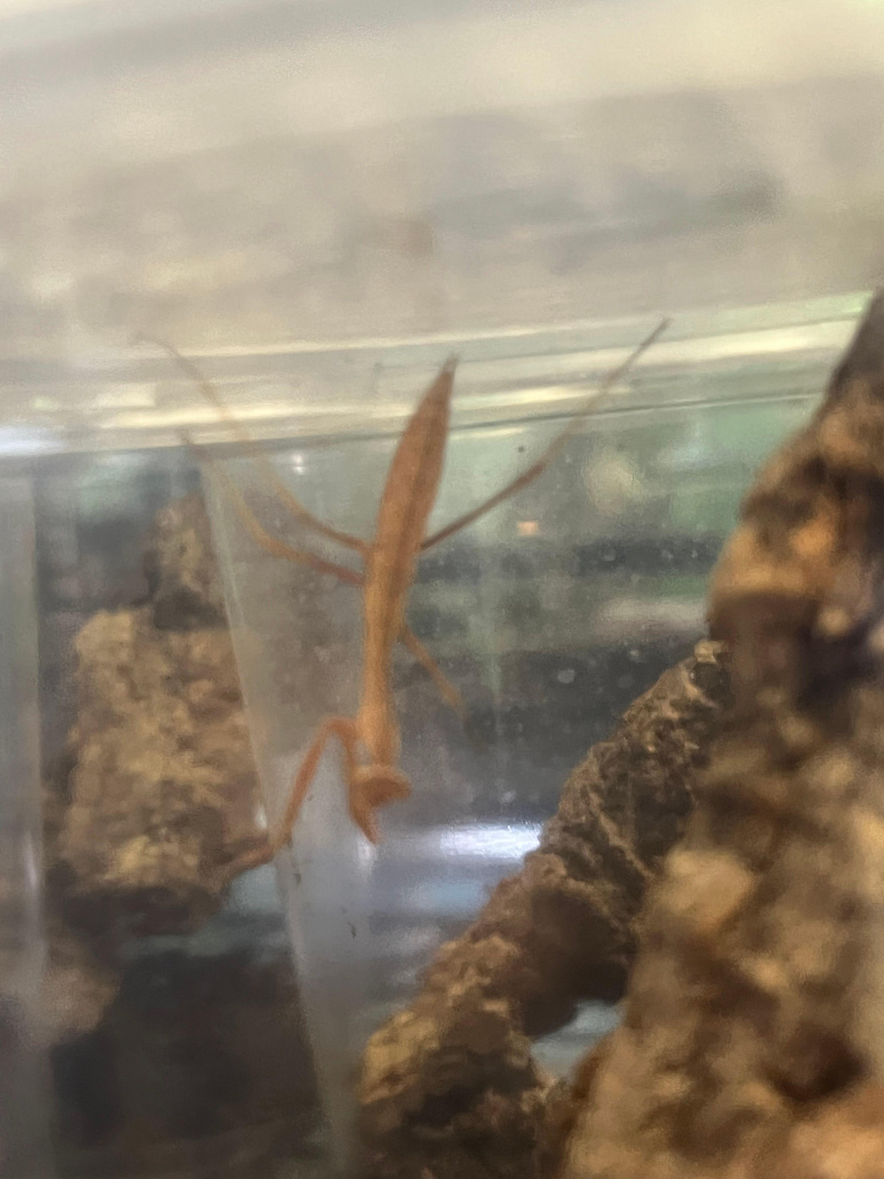 Terrarium Station Image