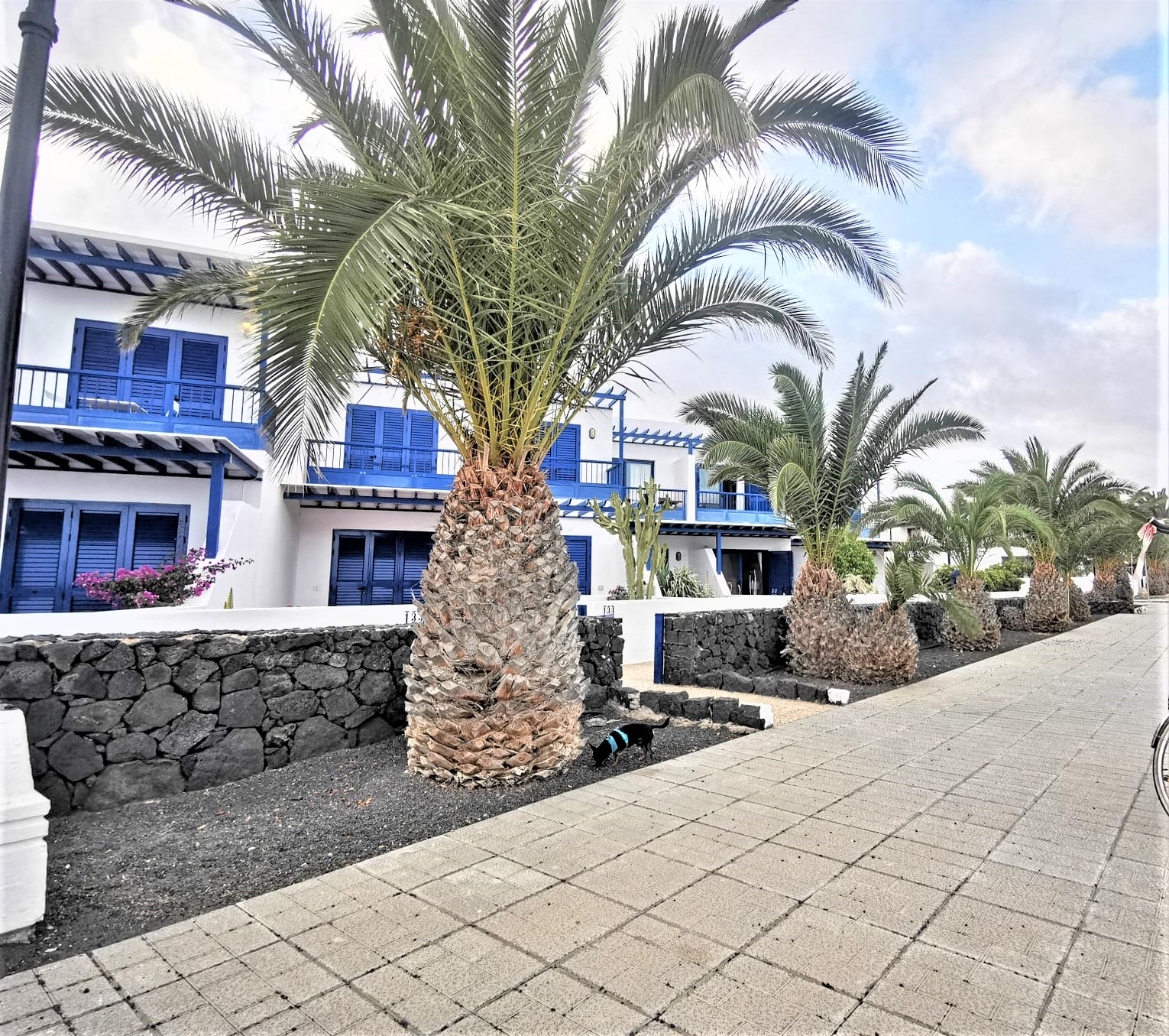 Galería en miniatura