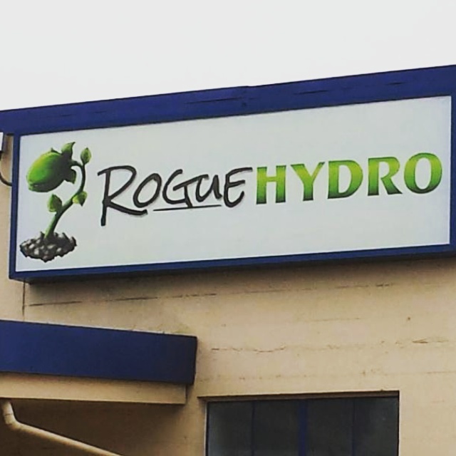 Rogue coupon code
