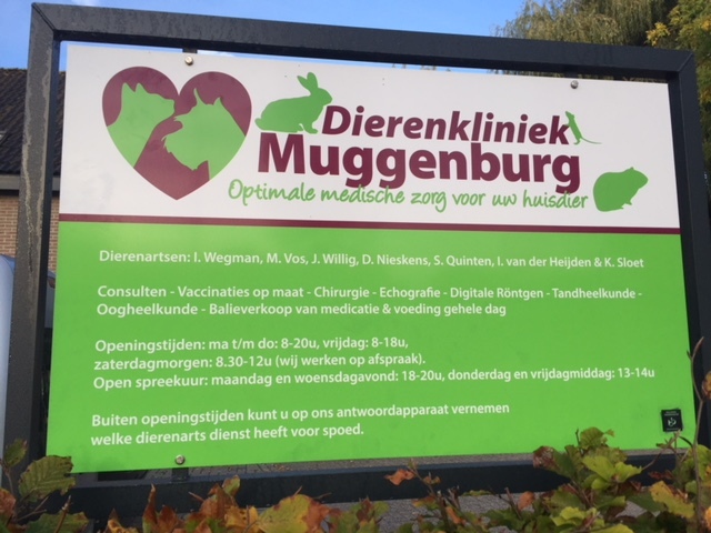 dierenarts wilg schagen dierenarts wilg schagen