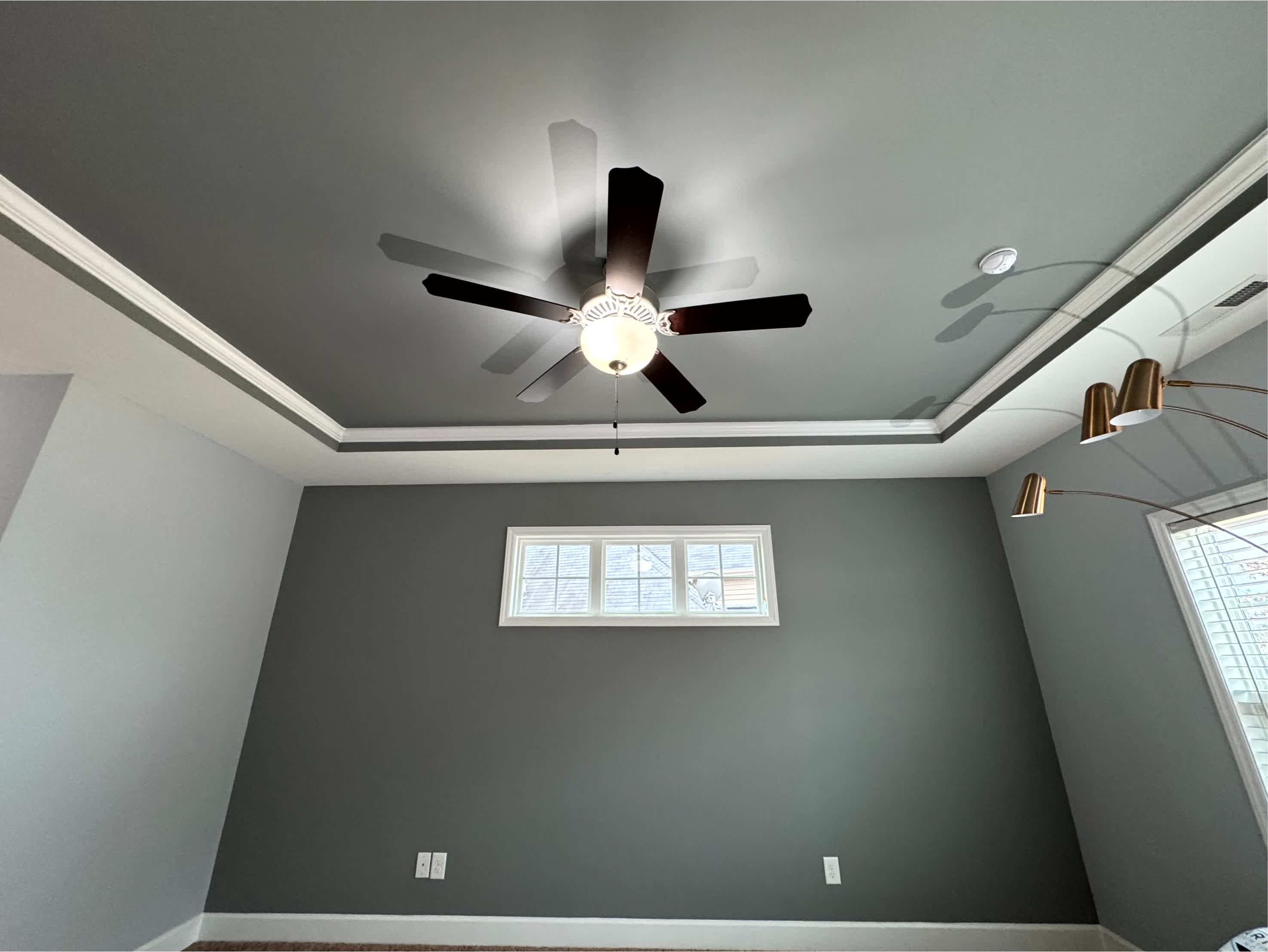 Mario's Painting NC Image