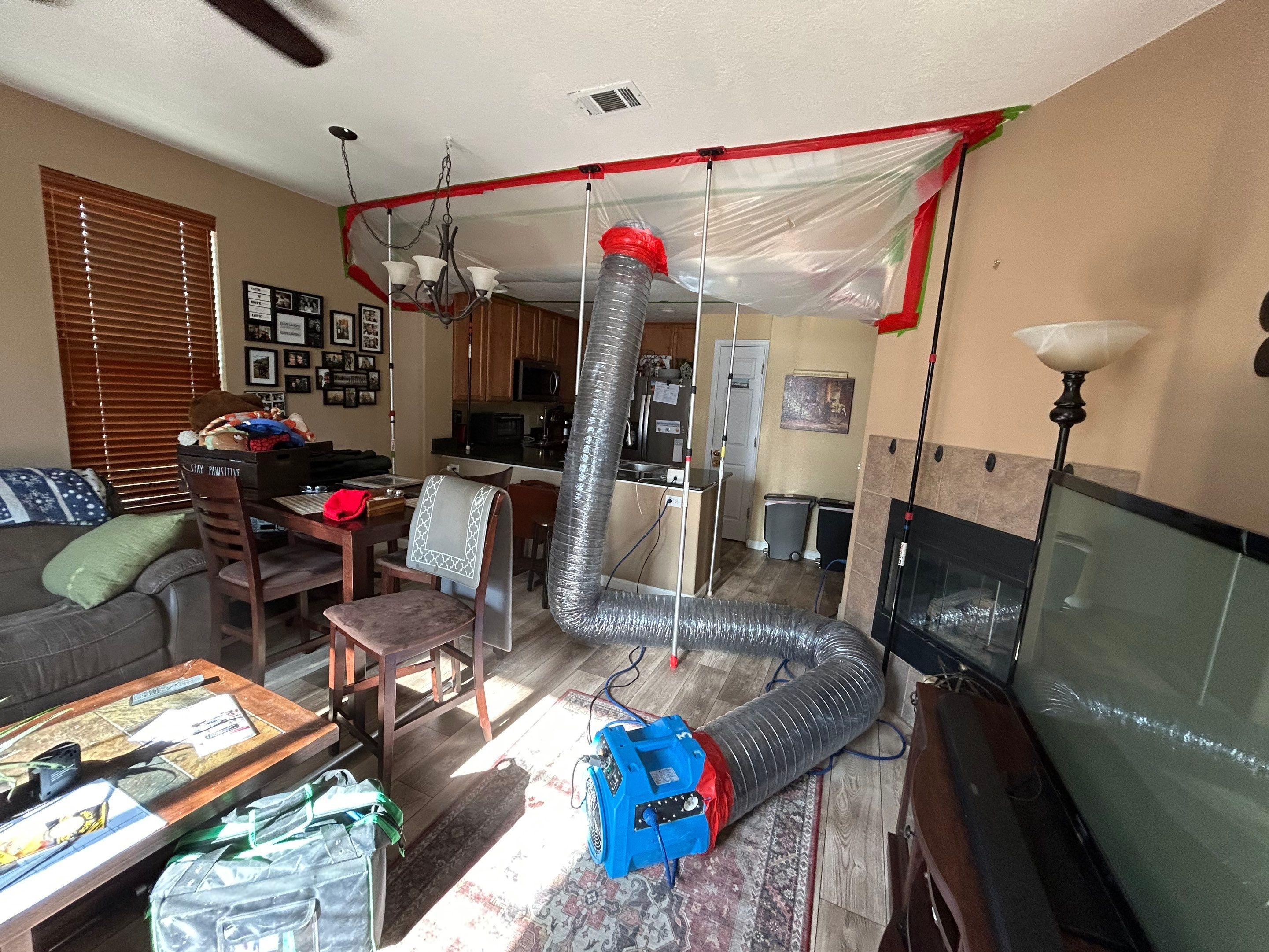 Anatom Restoration Image