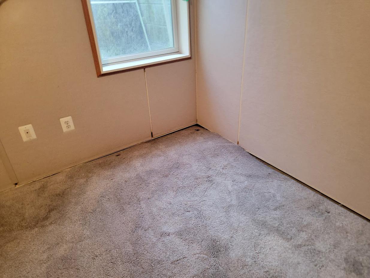 My Carpet Cleaning & Restoration Service Image