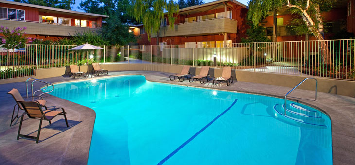 Bay Tree pool area