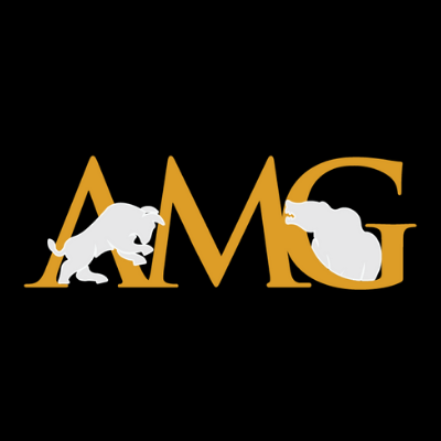 Asset Management Group, Inc