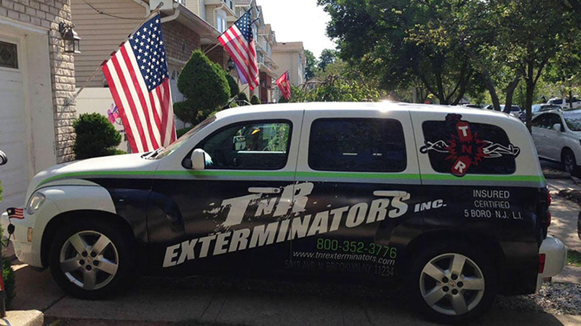 TNR Exterminators Inc Photo