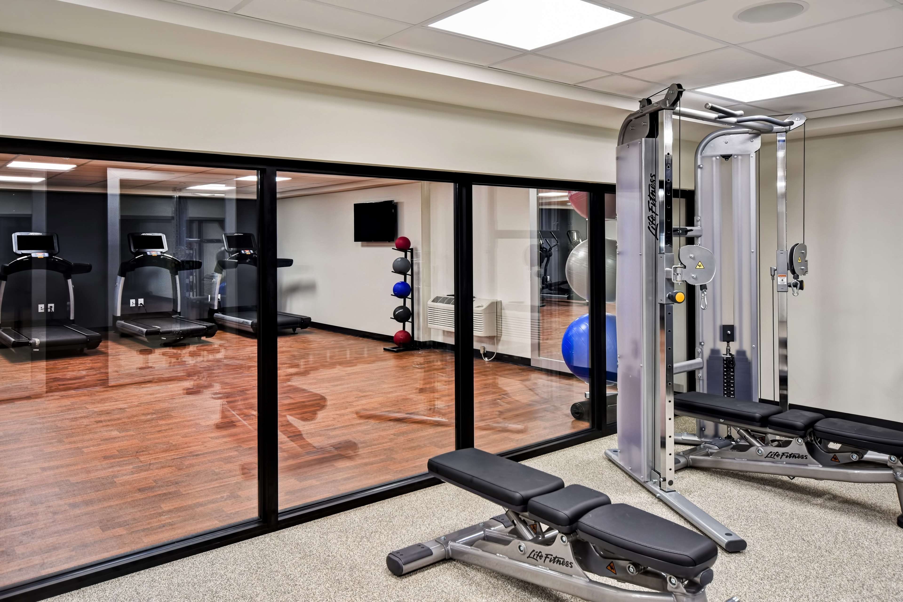 Health club  fitness center  gym