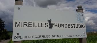 Fellpflege, Parasiten-Bekämpfung und Haarschnitt für Hunde