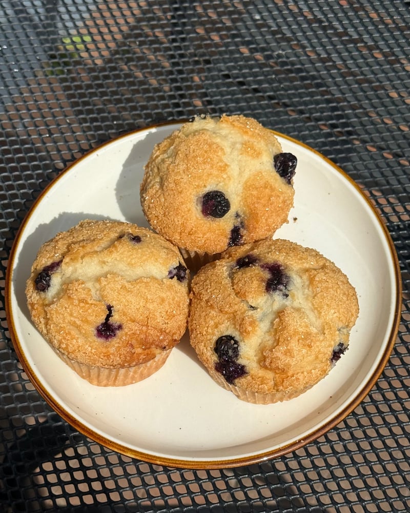 Blueberry Muffin