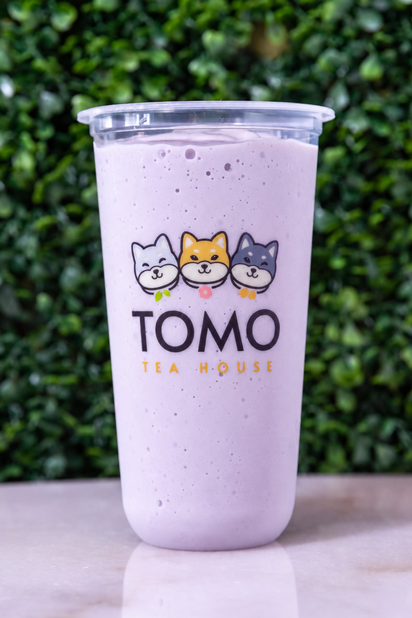 Ube Coconut Protein Blend