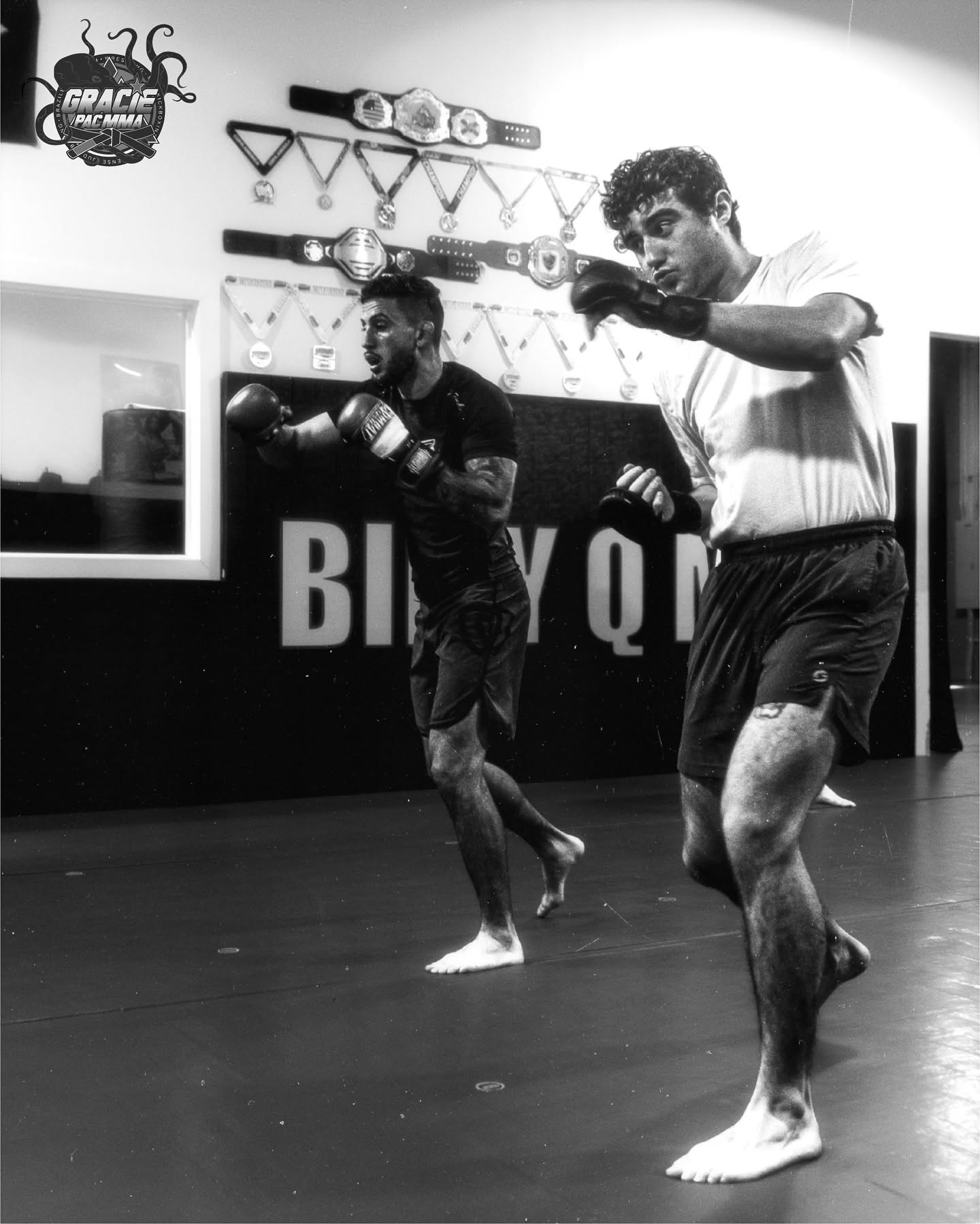 Adult MMA